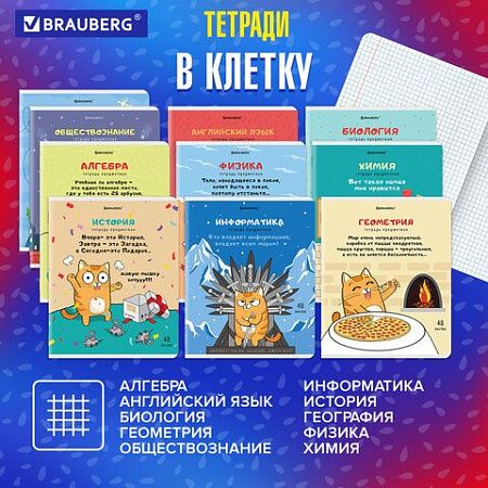 Тетради предметные, КОМПЛЕКТ 12 ПРЕДМЕТОВ, "КОТ-ЭНТУЗИАСТ", 48 л., TWIN-лак, BRAUBERG, 404609