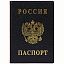 Обложка для паспорта ДПС, ПВХ, тиснение "Герб", черный