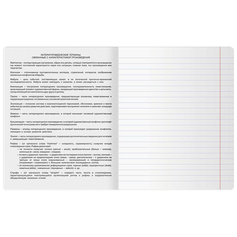 Тетрадь предметная 48л. BG "Печать времени" - Литература, тиснение