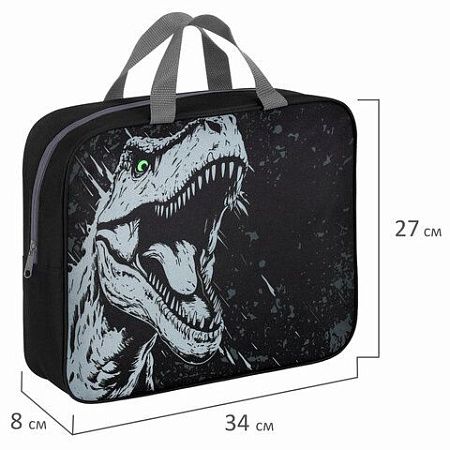 Папка на молнии с ручками BRAUBERG А4, 1 отделение, полиэстер, 80 мм, Scary dino, 273308 
