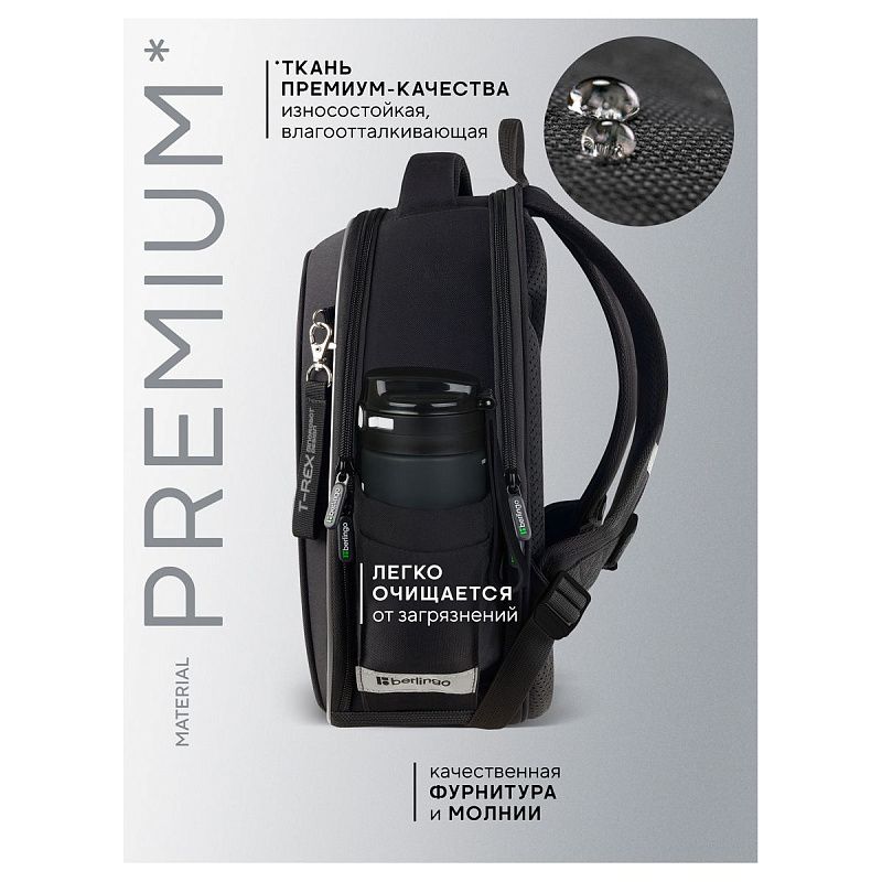 Ранец Berlingo Expert Next "T-REX" 38*28*15см, 2 отделения, 2 кармана, анатомическая спинка 