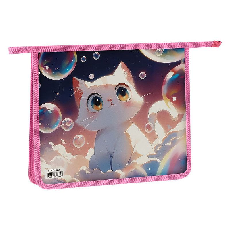 Папка для тетрадей 1 отделение, ArtSpace "Soap bubbles", А5, пластик, на молнии