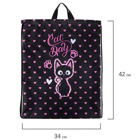 Мешок для обуви BRAUBERG KIDS, с петлей, 42х34 см, "Amazed cat", 271629 