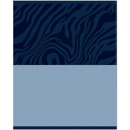 Тетрадь предметная 48л. BG "Single colour" - Физика, эконом