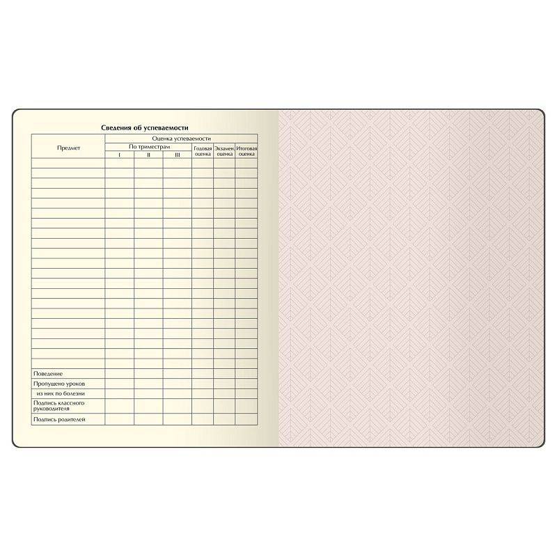 Дневник 1-11 кл. 48л. (ЛАЙТ) BG "Gradient. Pink", иск. кожа, печать, цветн. срез, ляссе