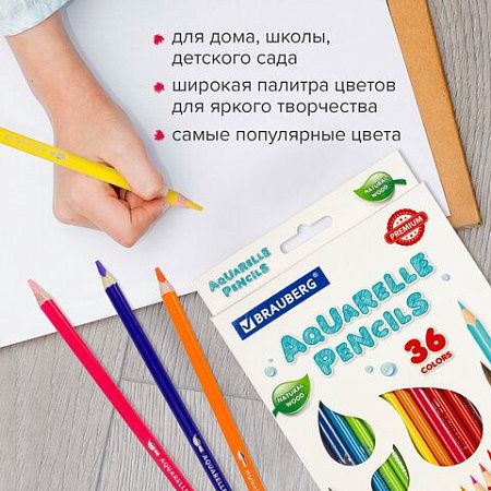 Карандаши цветные акварельные BRAUBERG PREMIUM AQUARELLE, 36 цветов, грифель мягкий 4 мм, 181674