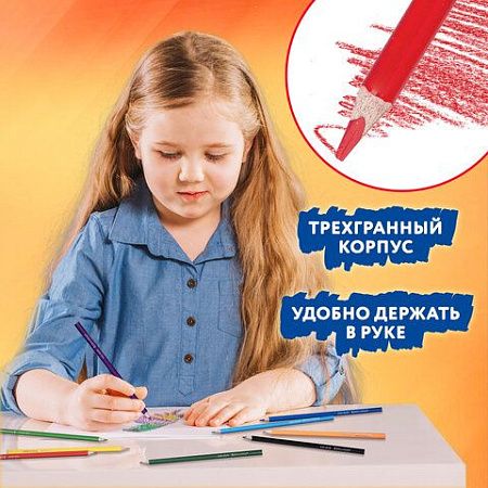 Карандаши цветные пластиковые, BRAUBERG PREMIUM 12 цветов + 1 чернографитный карандаш, трехгранный корпус, грифель 3 мм, 181936