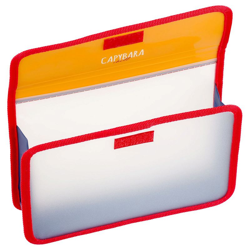 Папка для тетрадей 1 отделение, ArtSpace "Capybara", А5, пластик, на липучке 