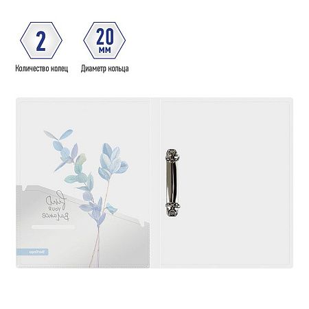 Папка на 2 кольцах Berlingo "Eco XS", 24мм, 600мкм, с рисунком, D-кольца, с внутр. карманом 