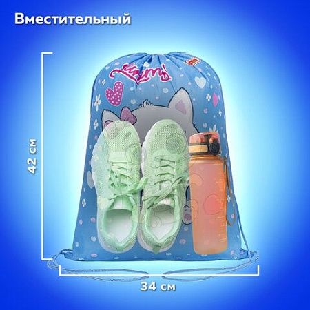 Мешок для обуви ПИФАГОР, 1 отделение, 42х34 см, "Yummy cupcake", 271603 