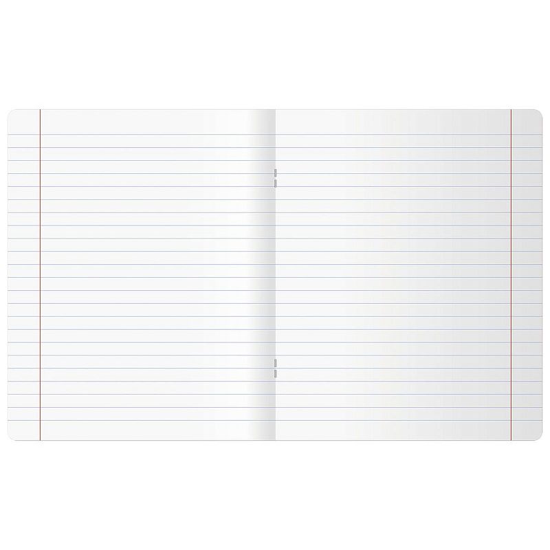 Тетрадь предметная 48л. BG "Сolor object" - Литература, soft-touch ламинация, тиснение фольгой, 70г/м2