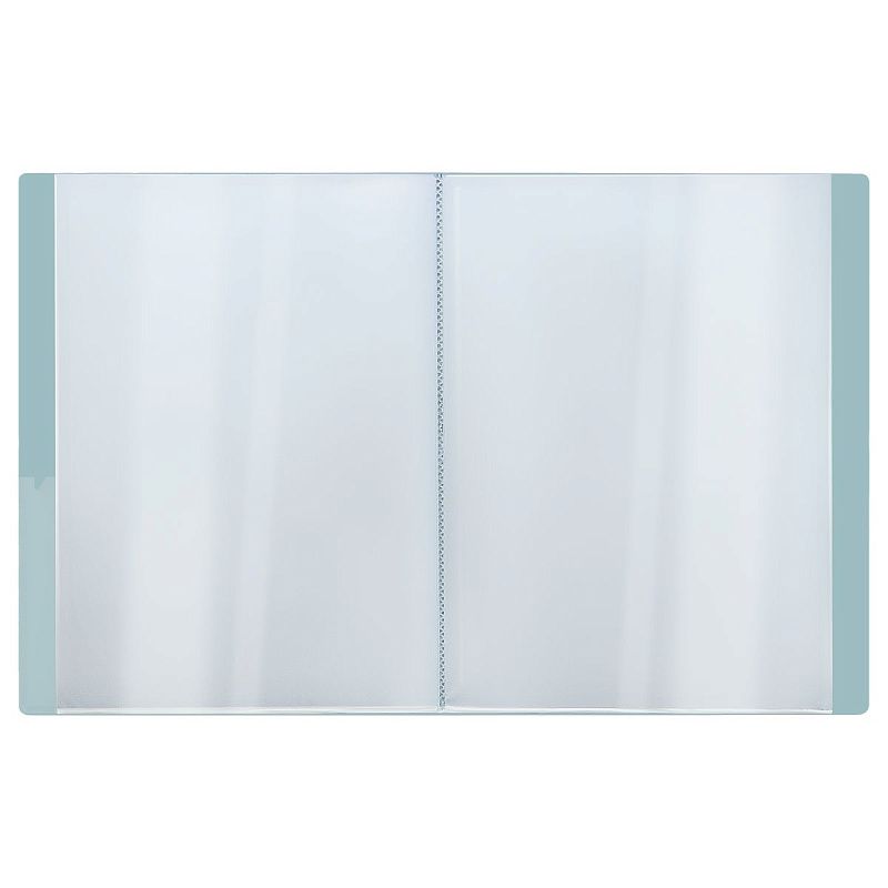 Папка с 60 вкладышами СТАММ "Акцент" А4, 21мм, 800мкм, пластик, эвкалиптовая 