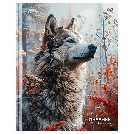 Дневник 5-11 кл. 48л. (твердый) BG "Ноябрь", матовая ламинация