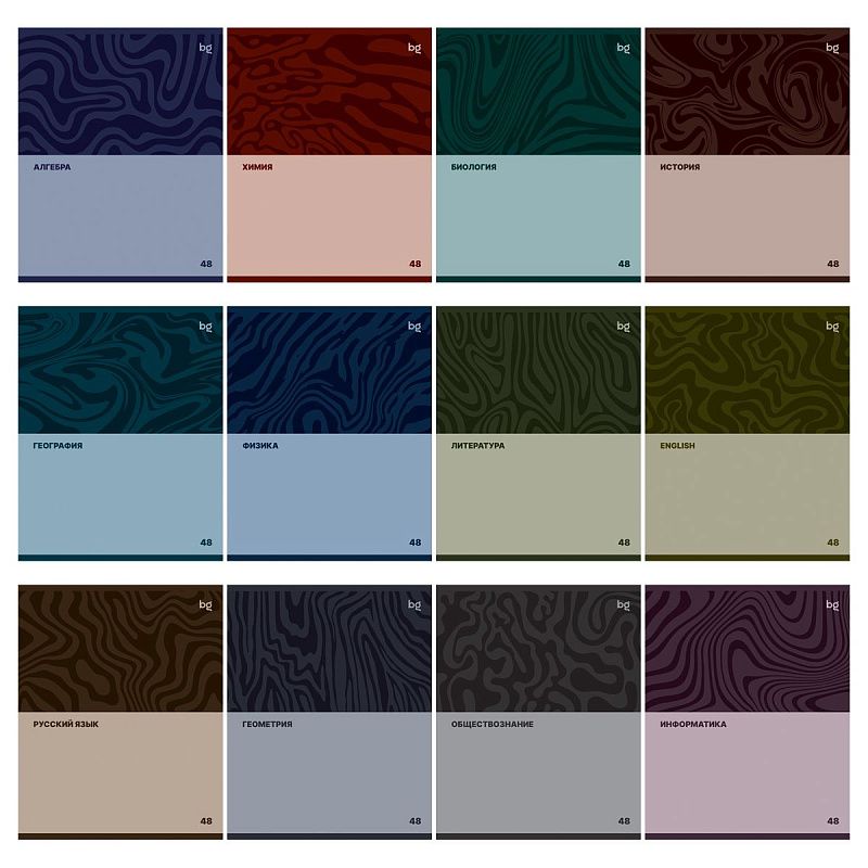Комплект (12 шт.) предметных тетрадей 48л. BG "Single colour", эконом