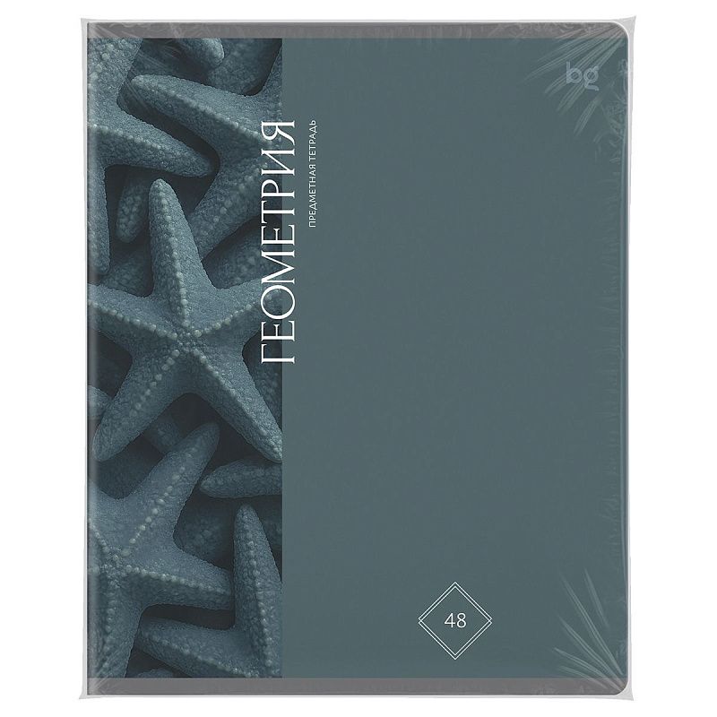 Тетрадь предметная 48л. BG "Гармония знаний" - Геометрия, soft-touch ламинация