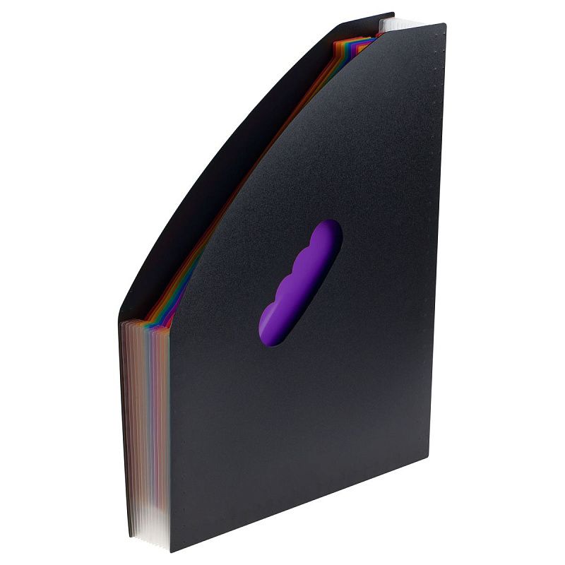 Лоток-органайзер для хранения документов СТАММ А4, 13 отделений,  черный 