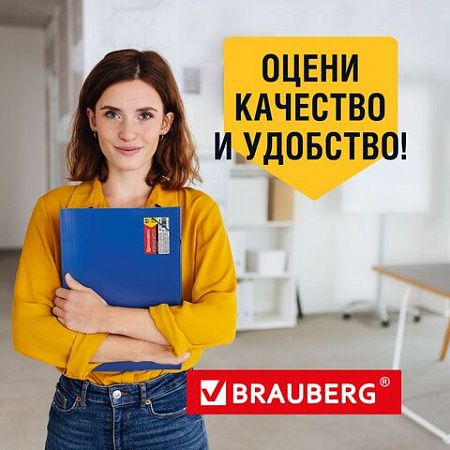 Папка на резинках BRAUBERG "Business", А4, 13 отделений, пластиковый индекс, синяя, 0,5 мм, 224146 