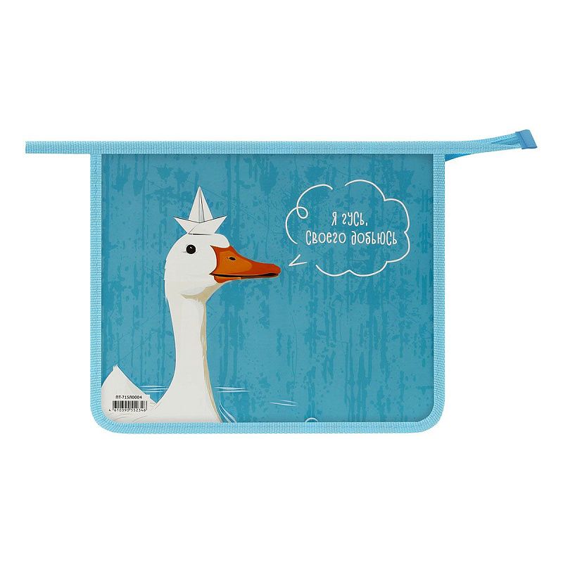 Папка для тетрадей 1 отделение, ArtSpace "FThe White Goose", А5, пластик, на молнии 