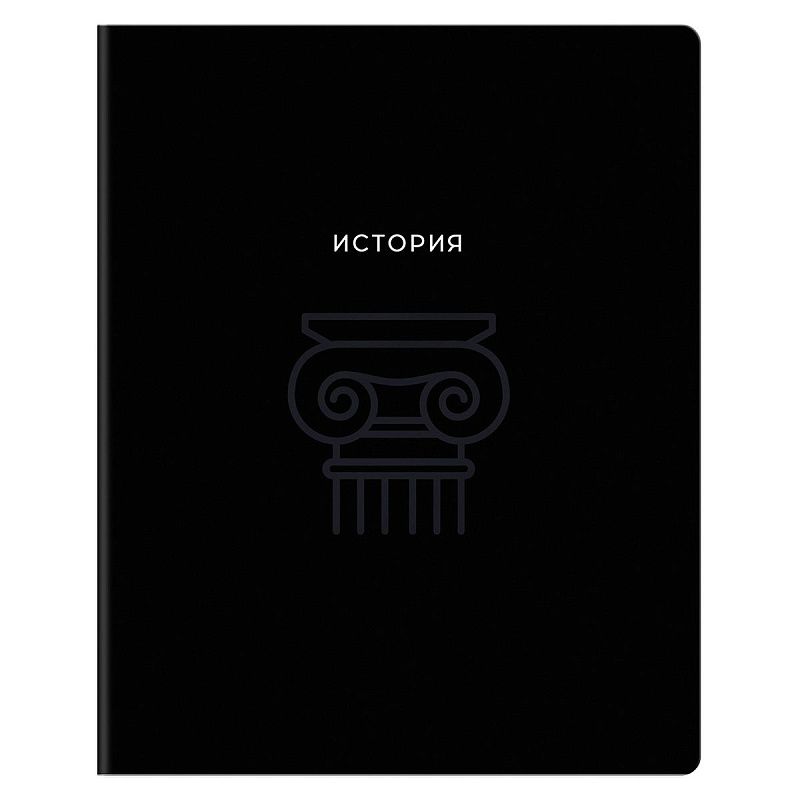 Тетрадь предметная 48л. BG "Минимализм" - История, выб.лак
