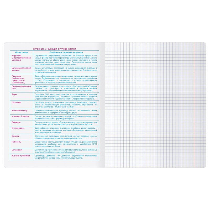 Тетрадь предметная 48л. BG "Крафт" - Биология, матовая ламинация