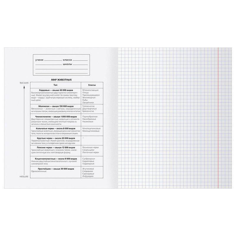 Тетрадь предметная 48л. BG "Заглавные-главные" - Биология, эконом