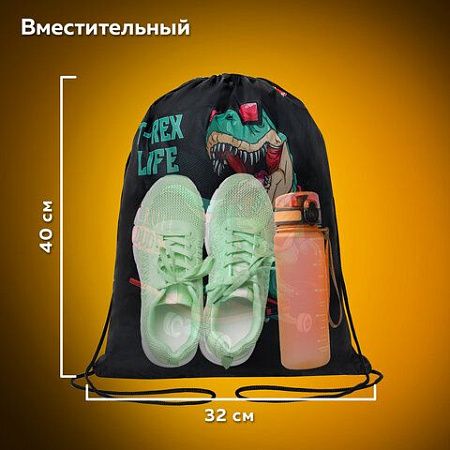 Мешок для обуви ПИФАГОР, 1 отделение, 42х34 см, "T-Rex", 271606 