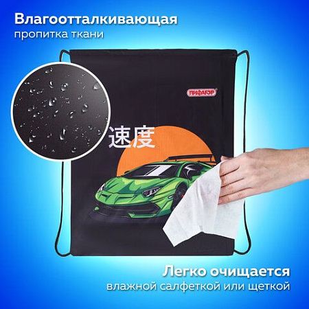 Мешок для обуви ПИФАГОР, 1 отделение, 40х32 см, Dive into drive, 272388 