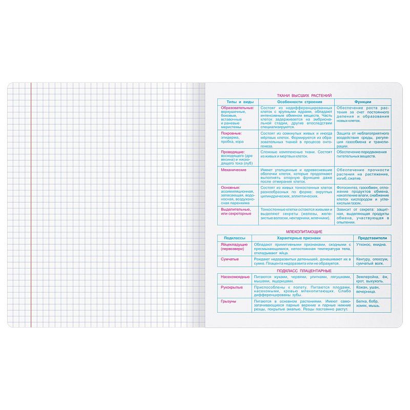 Тетрадь предметная 48л. BG "Крафт" - Биология, матовая ламинация