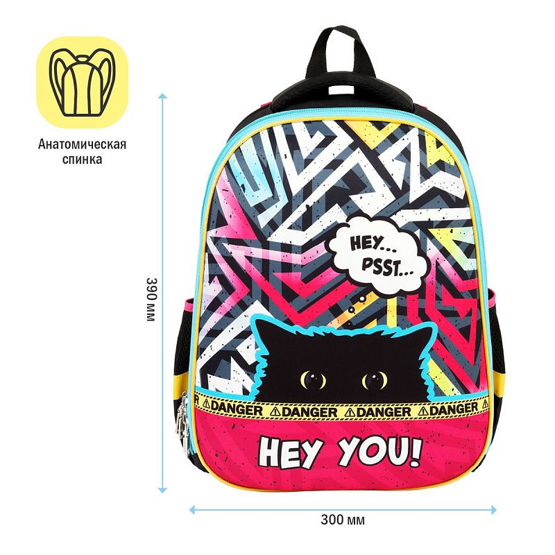Ранец ArtSpace School Friend "Spy Cat" 39*30*18см, 2 отделения, 2 кармана, анатомическая спинка 