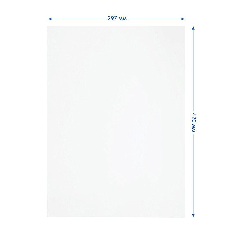 Папка для акварели, 10л., А3 Мульти-Пульти, 200 г/м2, "Енот в Волшебном мире"