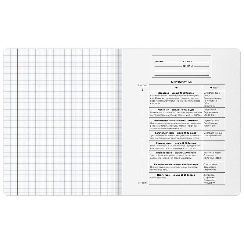 Тетрадь предметная 48л. BG "Минимализм" - Биология, выб.лак