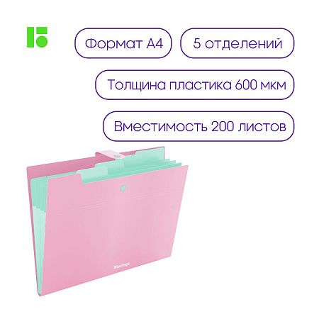 Папка 5 отделений Berlingo "Haze", А4, 600мкм, на кнопке, розовая, софт-тач 