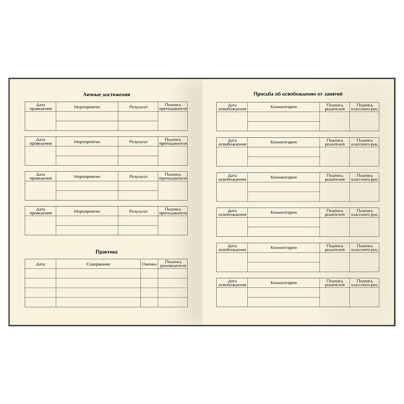 Дневник 1-11 кл. 48л. (твердый) BG "Samurai", матовая ламинация, тиснение фольгой, фигурный клапан, ляссе