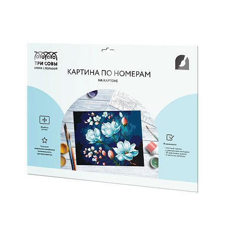 Картина по номерам на картоне ТРИ СОВЫ "Яблоневая ветка", 30*40, с акриловыми красками и кистями