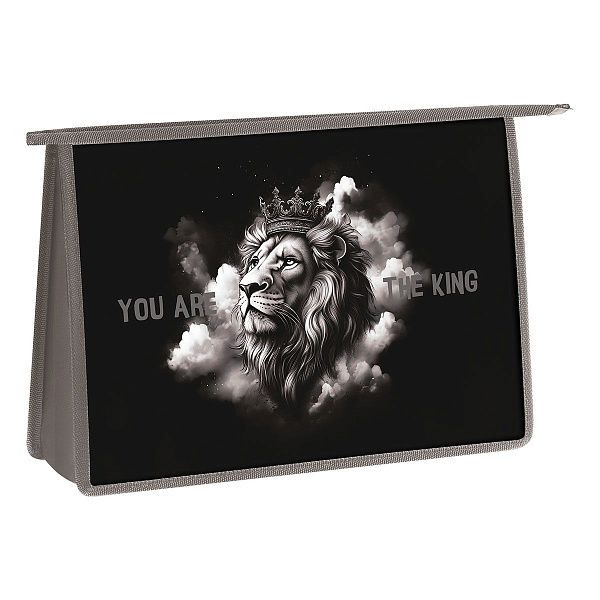 Папка для труда 2 отделения, А4, ArtSpace "King", пластик, на молнии