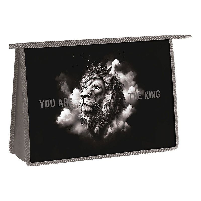 Папка для труда 2 отделения, А4, ArtSpace "King", пластик, на молнии