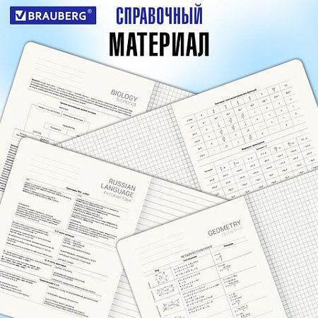 Тетради предметные, КОМПЛЕКТ 5 ПРЕДМЕТОВ, 48 л., SoftTouch, BRAUBERG "РИТМ", 405187