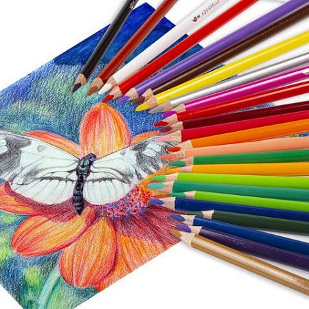Карандаши цветные акварельные BRAUBERG PREMIUM AQUARELLE, 24 цвета, грифель мягкий 4 мм, 181673