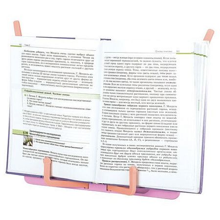 Подставка для книг и учебников BRAUBERG KIDS "Flamingo", регулируемый угол наклона, прочный ABS-пластик, 238061 