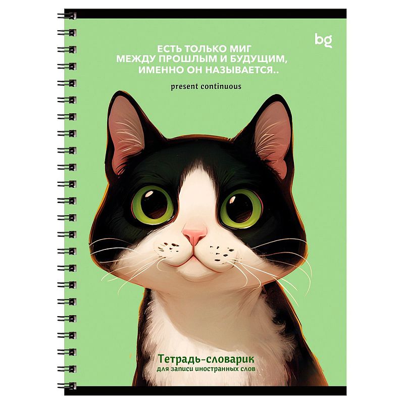 Тетрадь-словарик 48л., А5 для записи иностранных слов на гребне BG "Умные кошки"