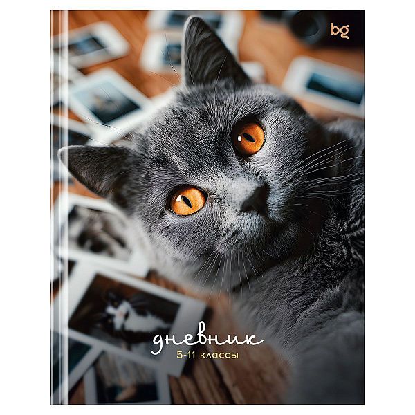 Дневник 5-11 кл. 48л. (твердый) BG "Барсик", глянцевая ламинация