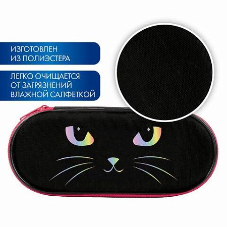 Пенал-футляр BRAUBERG, 1 отделение, органайзер, полиэстер, 22x9x5 см, "Cat eye", 271585 