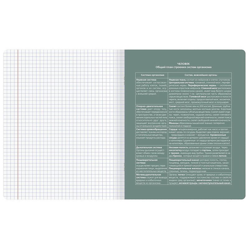 Тетрадь предметная 48л. BG "Сolor object" - Биология, soft-touch ламинация, тиснение фольгой, 70г/м2