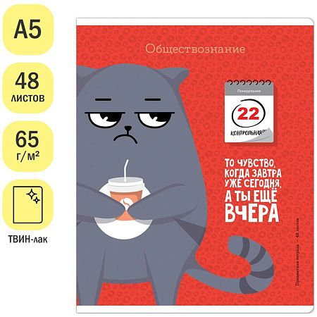 Тетрадь предметная 48л. ArtSpace "Котоцинизм" - Обществознание, ТВИН-лак