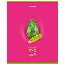 Тетрадь предметная "AVOCADO" 48 л., глянцевый лак, РУССКИЙ ЯЗЫК, линия, подсказ, BRAUBERG, 404282 Тетрадь предметная "AVOCADO" 48 л., глянцевый лак, РУССКИЙ ЯЗЫК, линия, подсказ, BRAUBERG, 404282