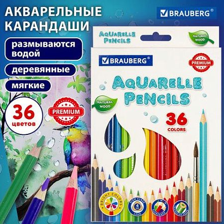 Карандаши цветные акварельные BRAUBERG PREMIUM AQUARELLE, 36 цветов, грифель мягкий 4 мм, 181674