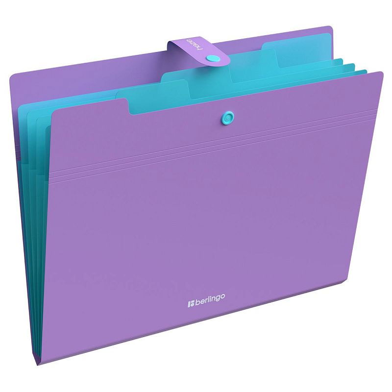 Папка 5 отделений Berlingo "Haze", А4, 600мкм, на кнопке, ассорти, софт-тач 