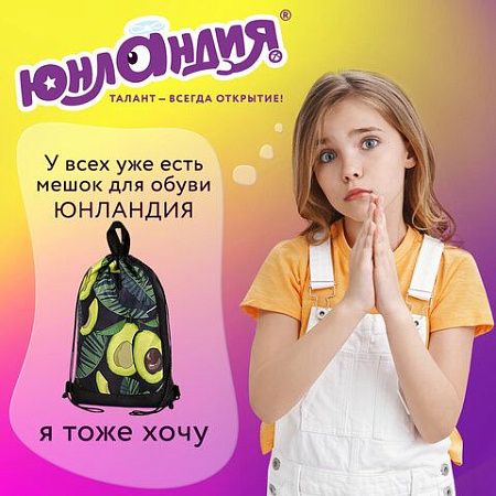 Мешок для обуви ЮНЛАНДИЯ, с ручками, боковой карман на молнии, 46х36 см, "Fresh", 271063 