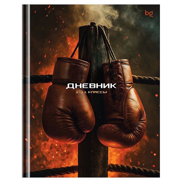Дневник 1-11 кл. 40л. (твердый) BG "Бокс", матовая ламинация