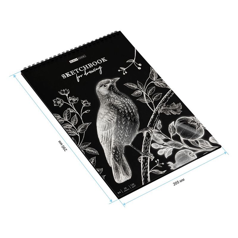 Скетчбук 20л., А4 ArtSpace "Black line. Bird", на гребне, черный блок, 120г/м2
